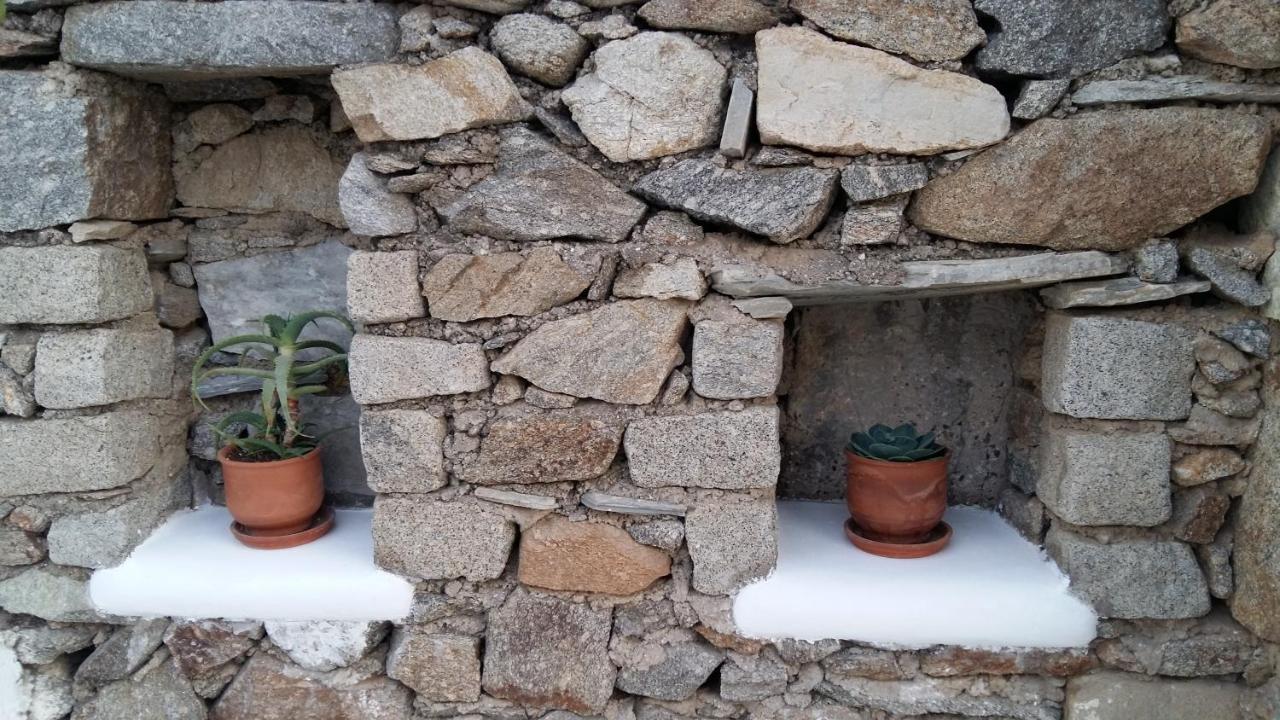 Sunny Guest House New Port Mykonos トゥルロス エクステリア 写真